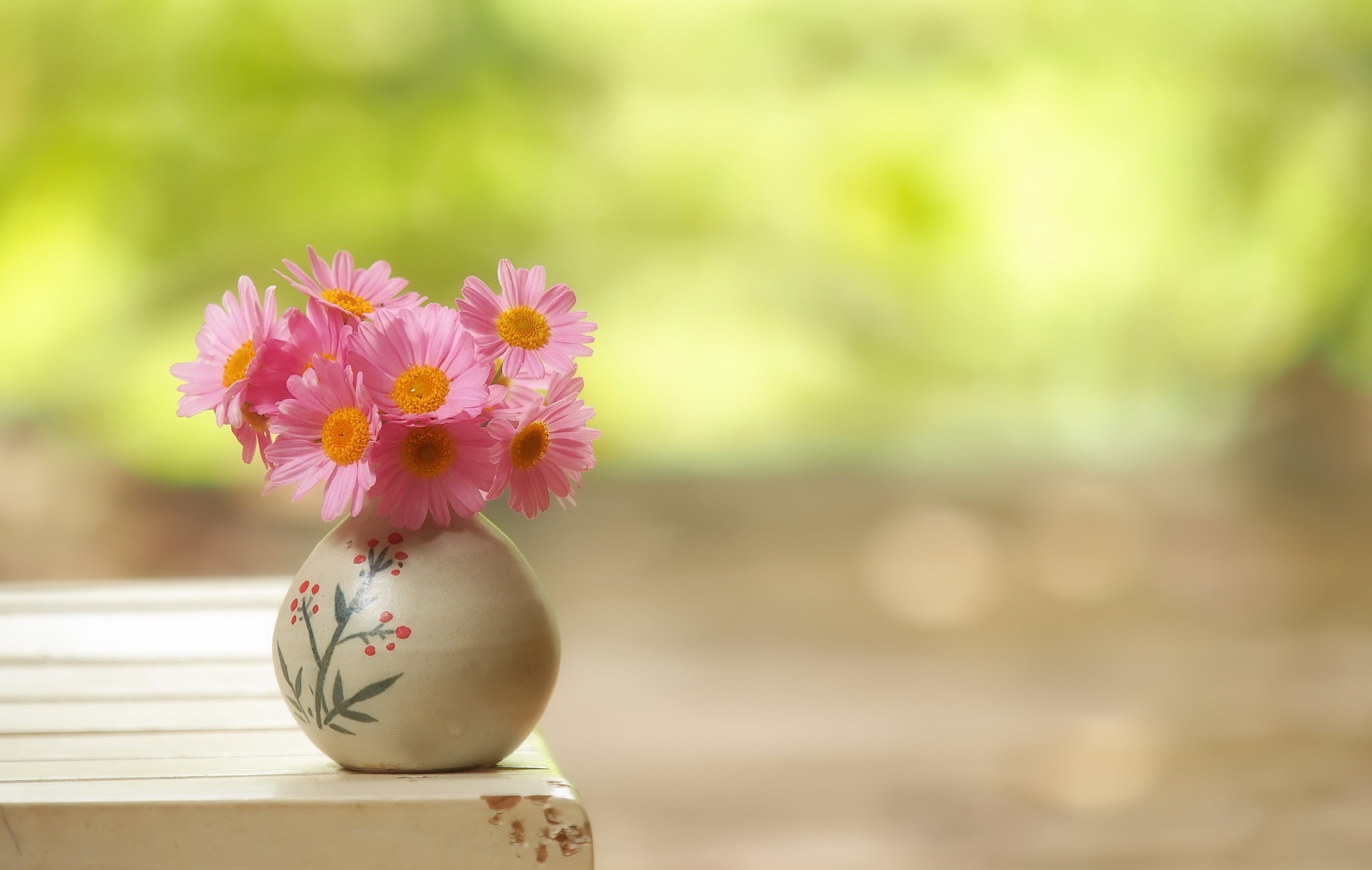 桌面上的壁纸壁纸花瓶 粉红的花朵 模糊的背景