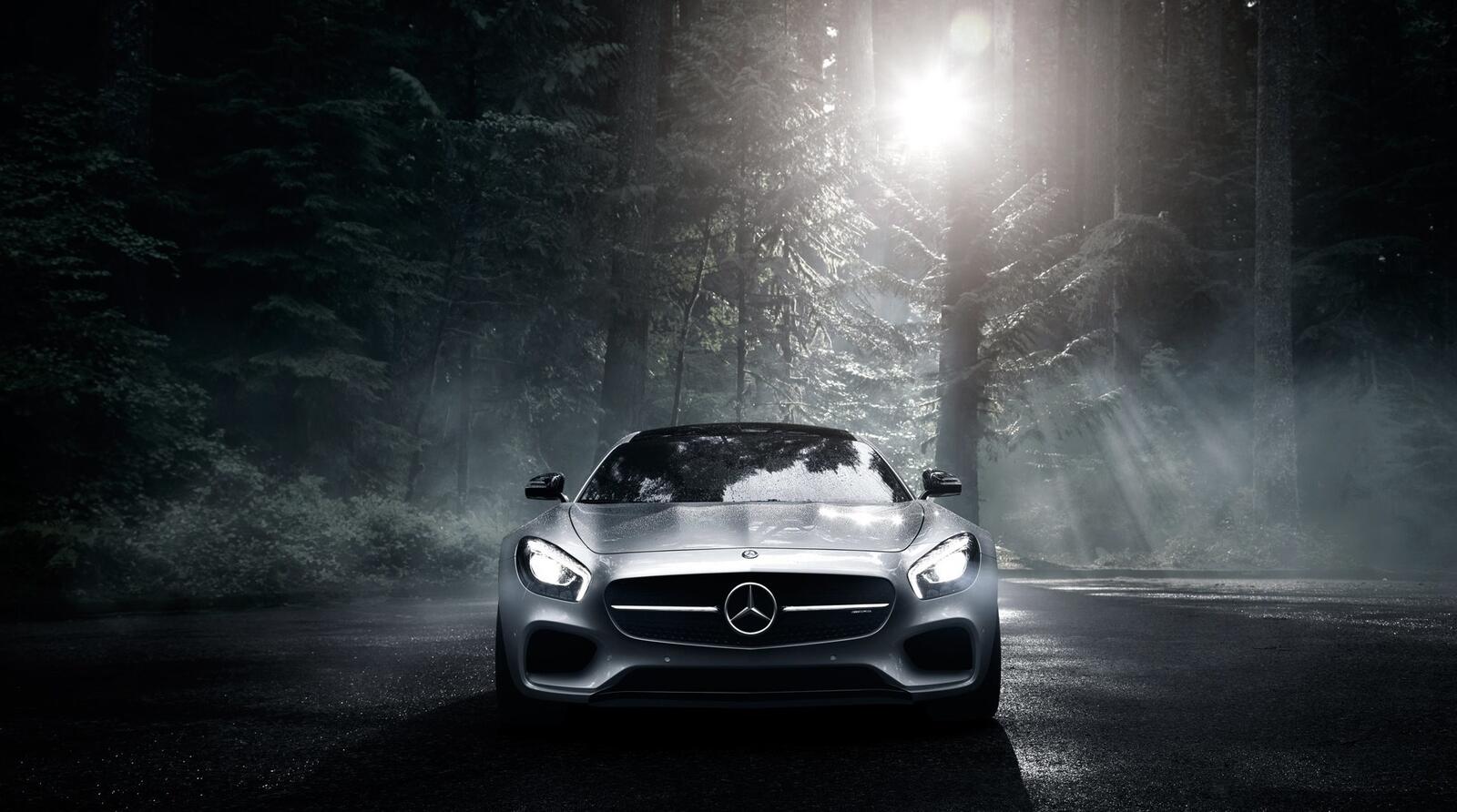 Бесплатное фото Mercedes Benz в мрачном лесу