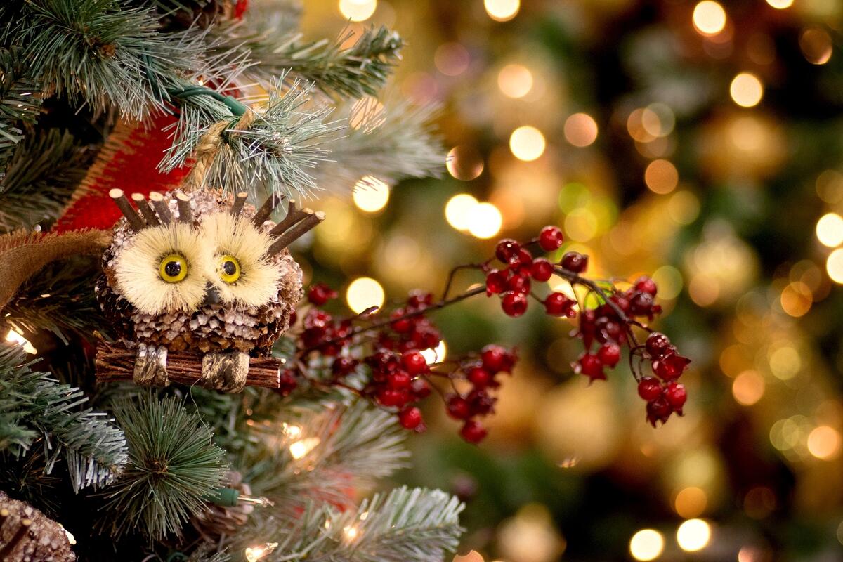 A toy owl on the branches of a Christmas tree