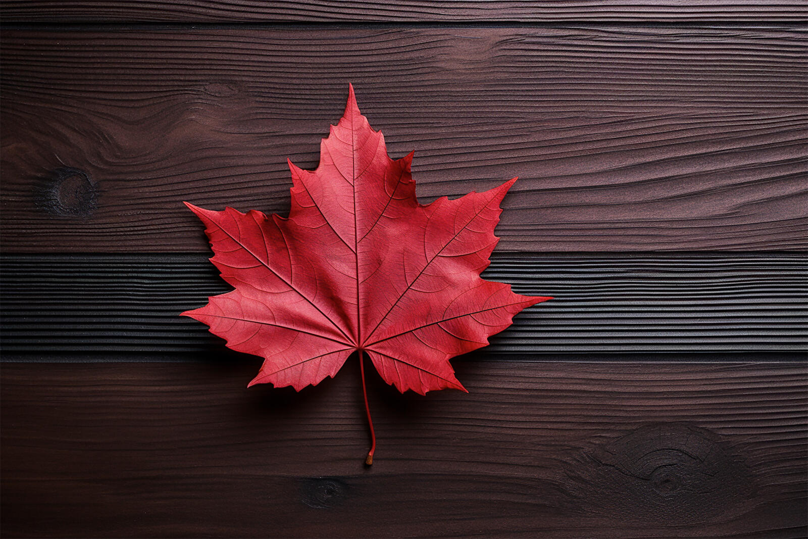 Free photo Autumn maple leaf in red color on wooden background