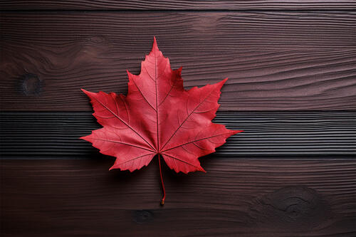 Осенний кленовый лист красного цвета на деревянном фоне