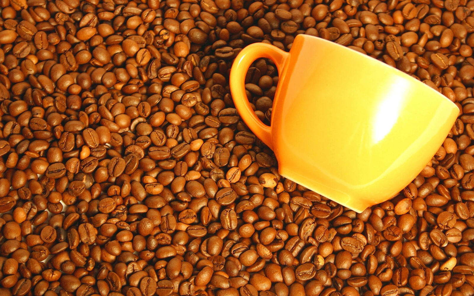 Free photo Wallpaper with yellow cup on coffee beans