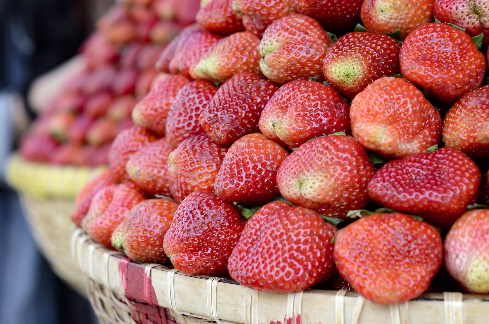 桌面上的壁纸草莓壁纸 笼 水果