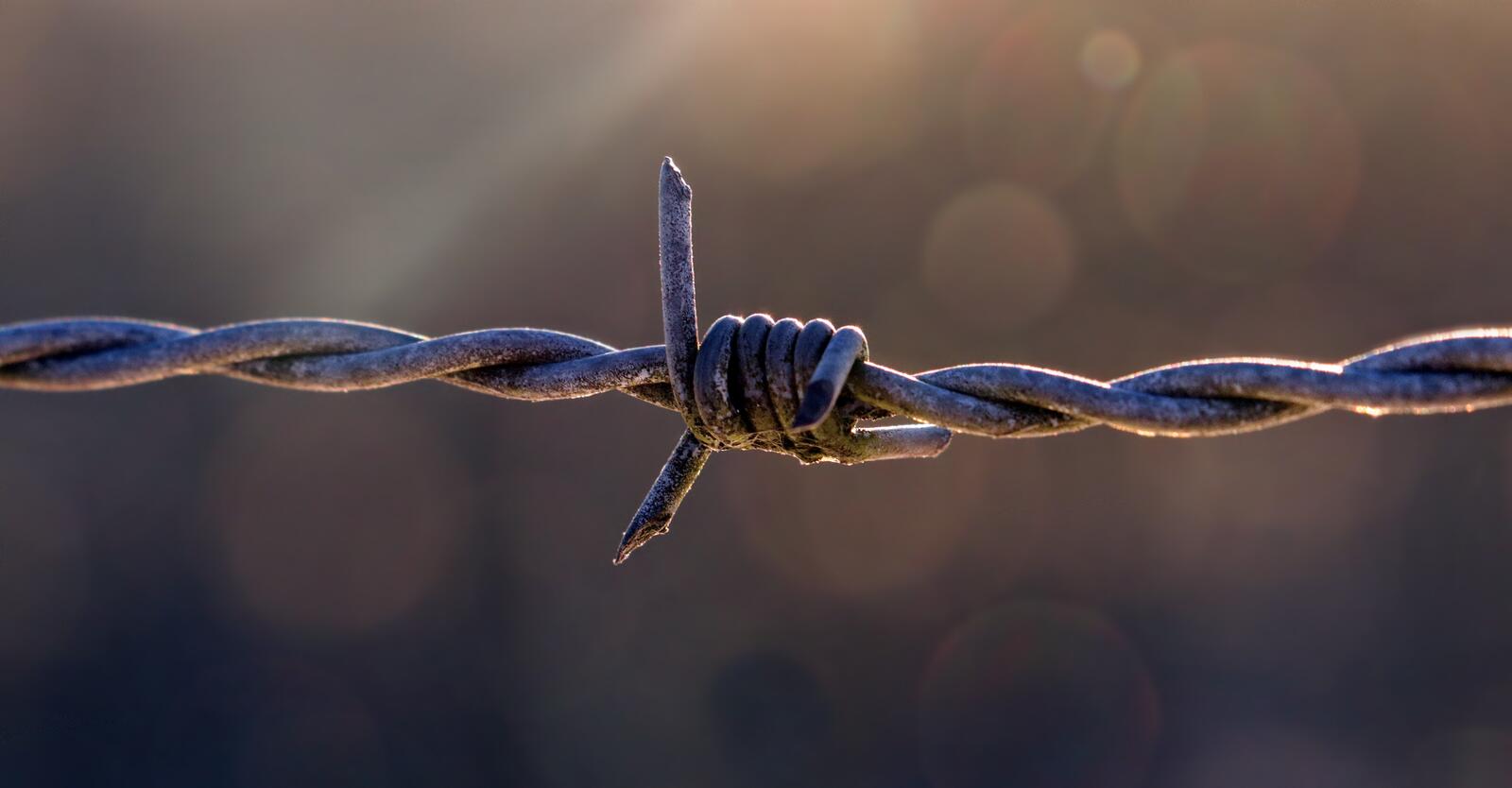 Free photo Barbed wire
