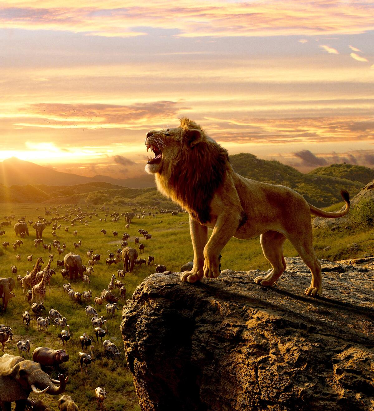 动画片《狮子王》中岩石上的狮子