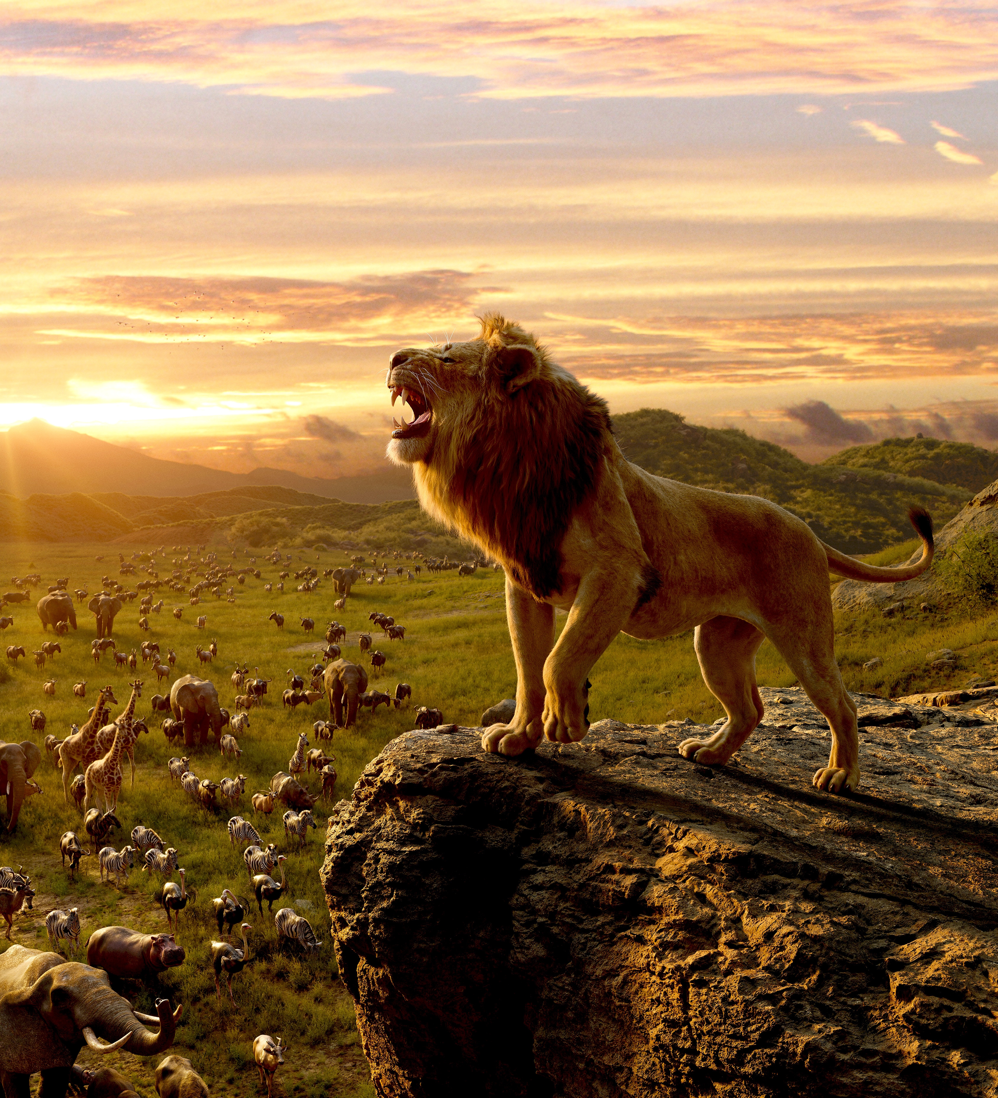 免费照片动画片《狮子王》中岩石上的狮子