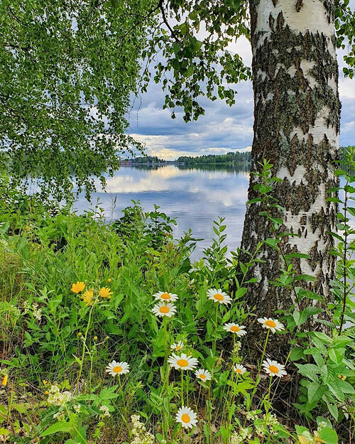 Russian nature by the river