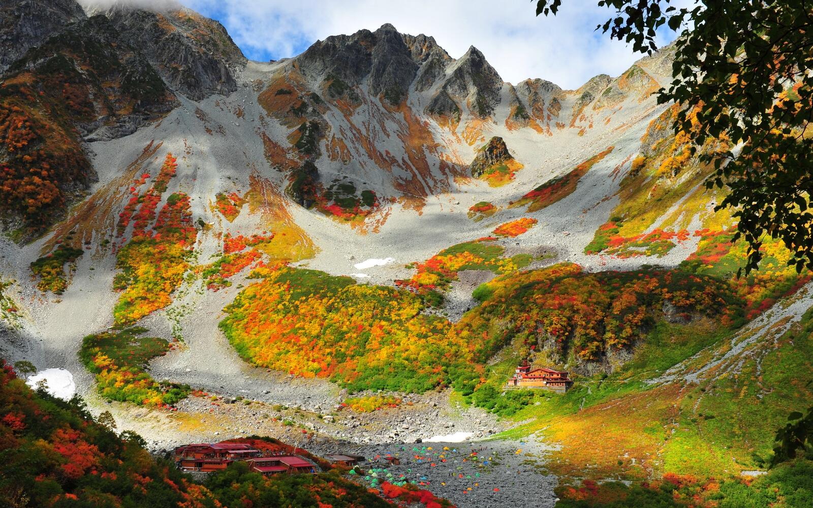 Бесплатное фото Цветные участки травы на горе
