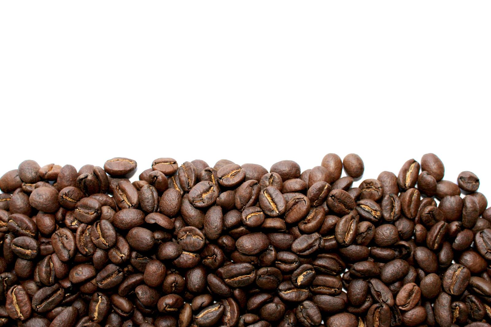 Free photo Coffee beans on white background