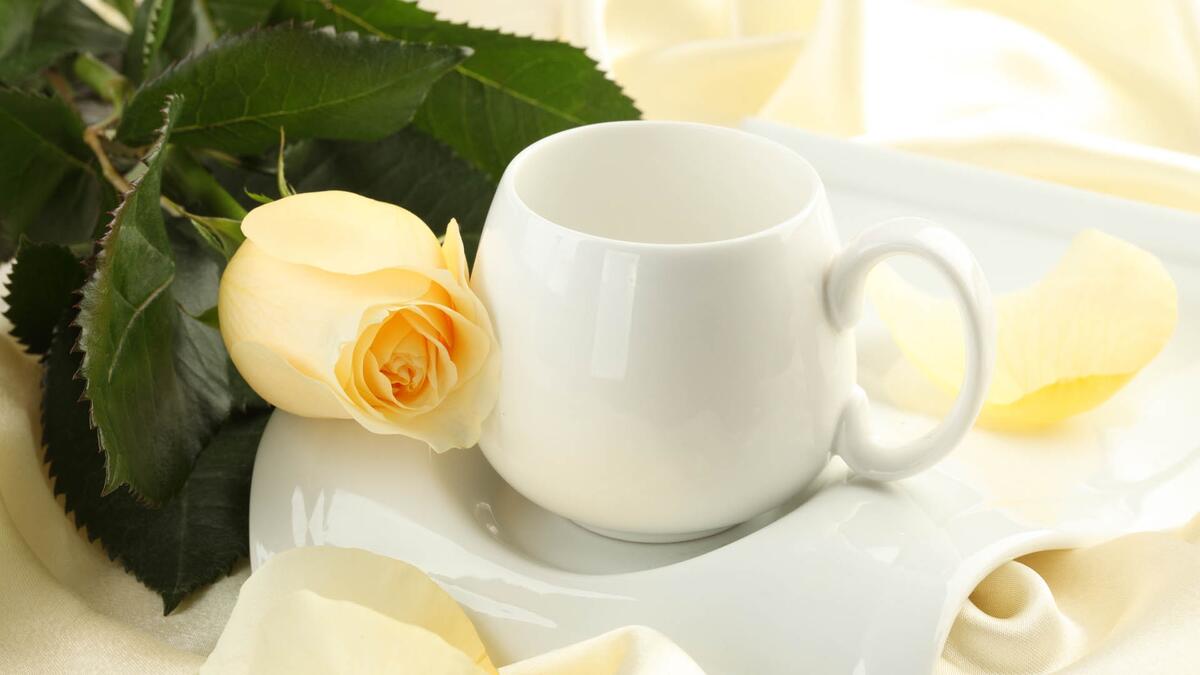 A white cup with a lone rose for breakfast