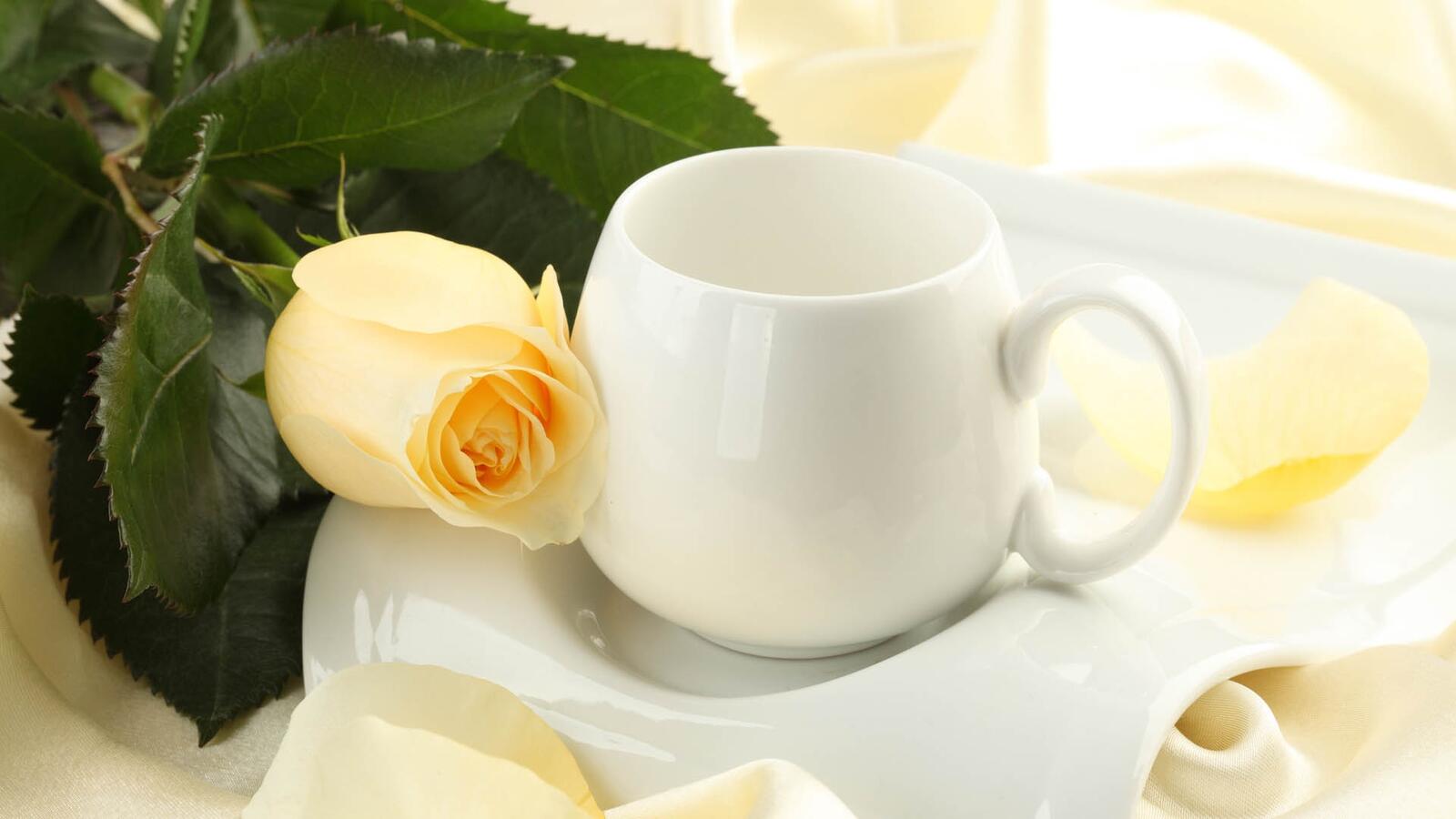 Free photo A white cup with a lone rose for breakfast