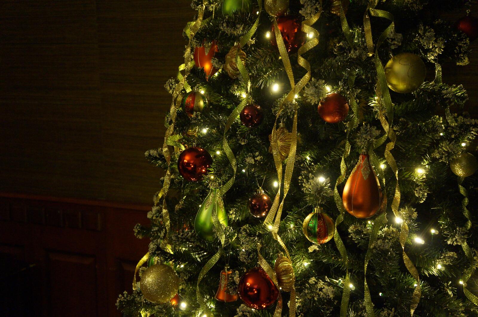 Wallpapers tree branch holiday on the desktop