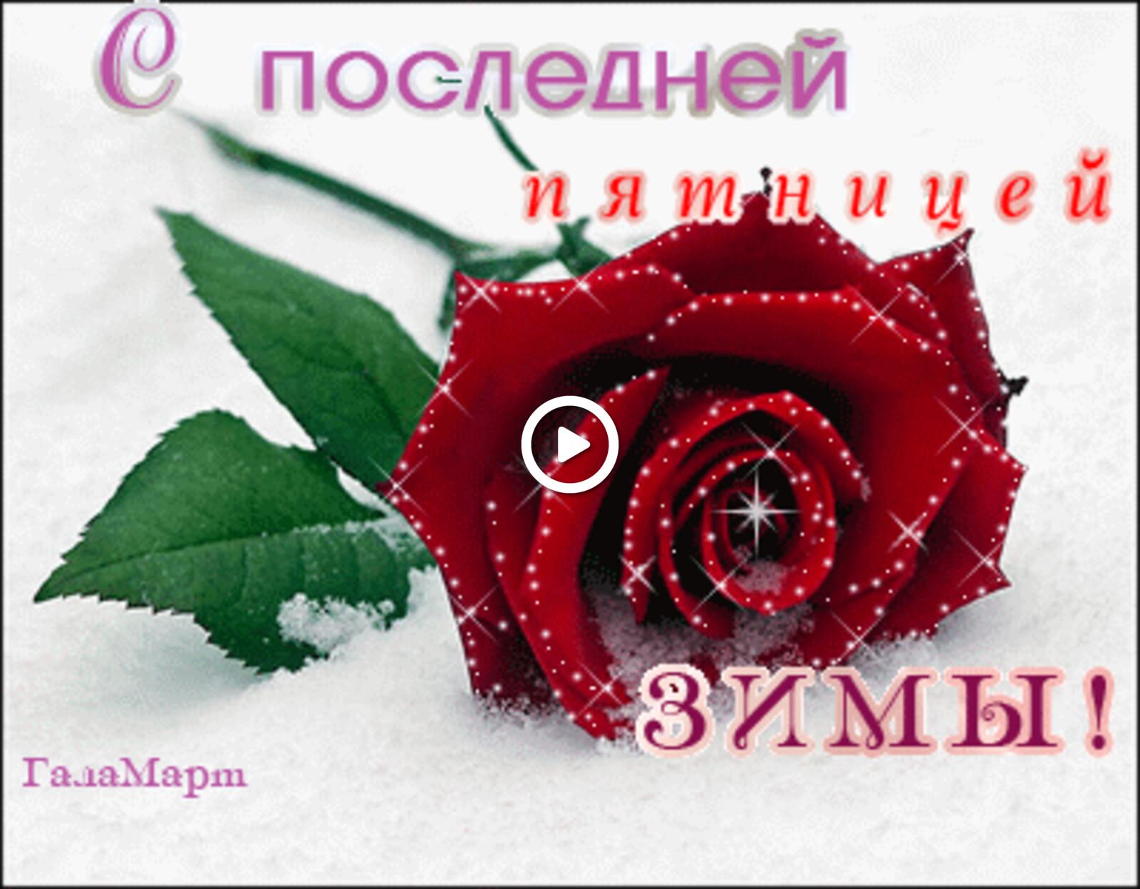 Открытка на тему открытки с пятницей роза снег бесплатно