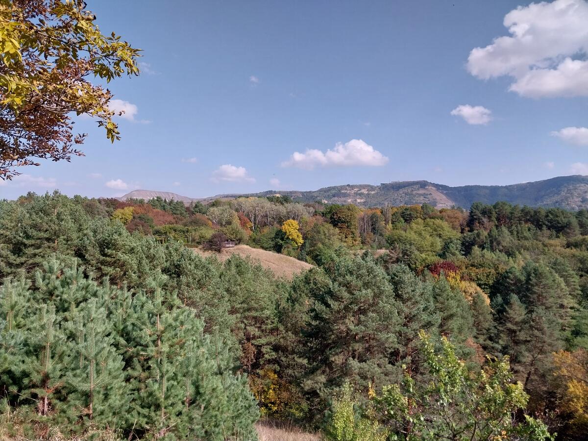 Лесной пейзаж в октябре