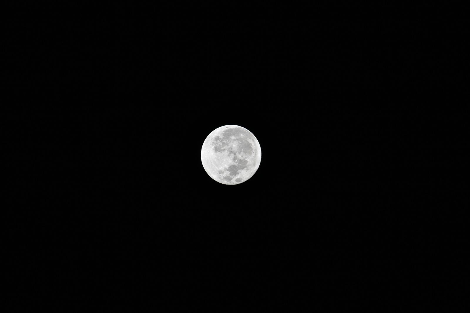 Free photo A bright moon on a black sky background