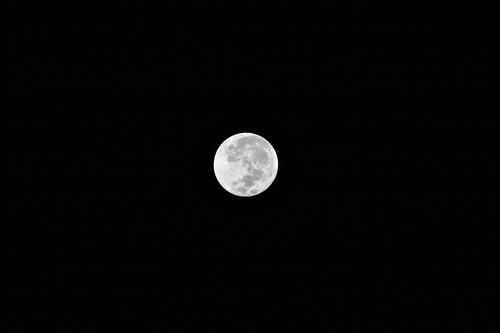 Светлая Луна на черном фоне неба