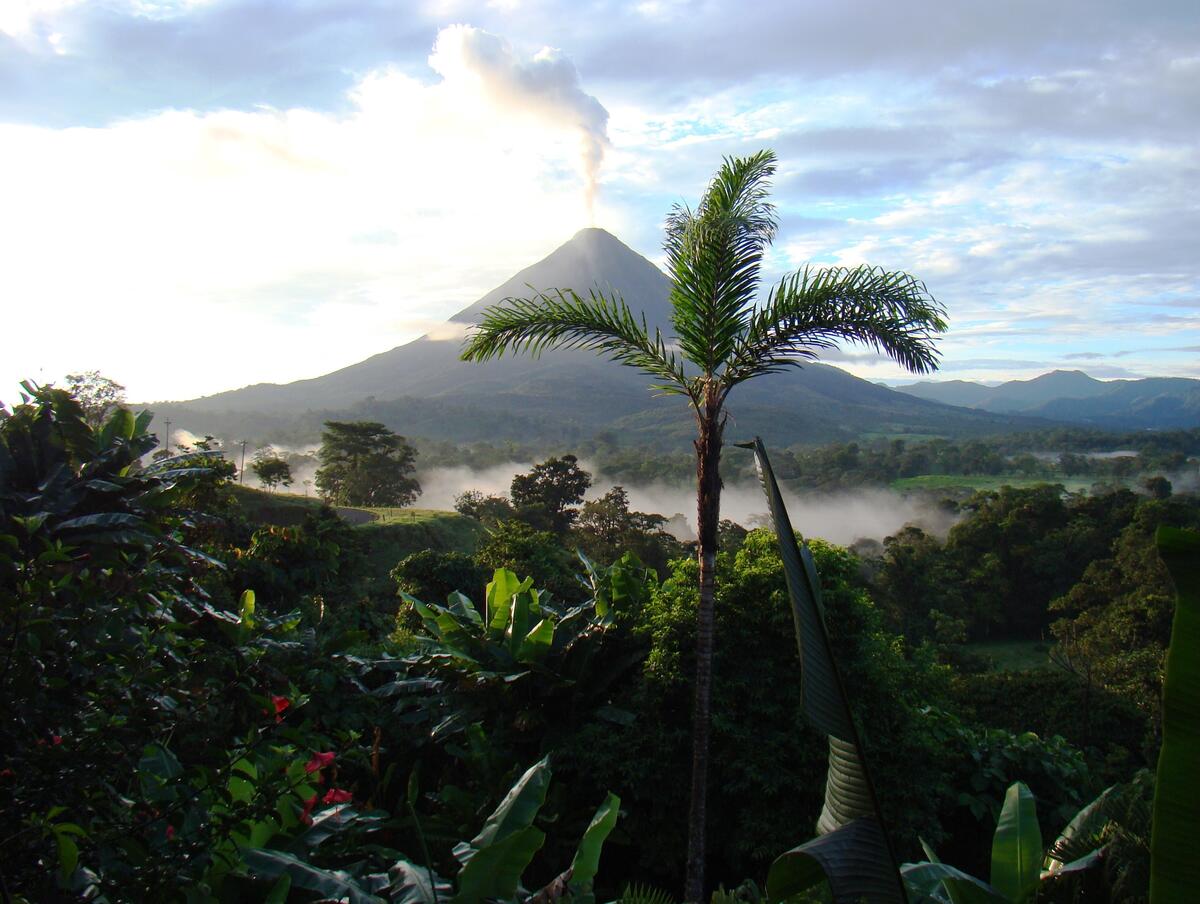 Вид на вулкан из джунглей