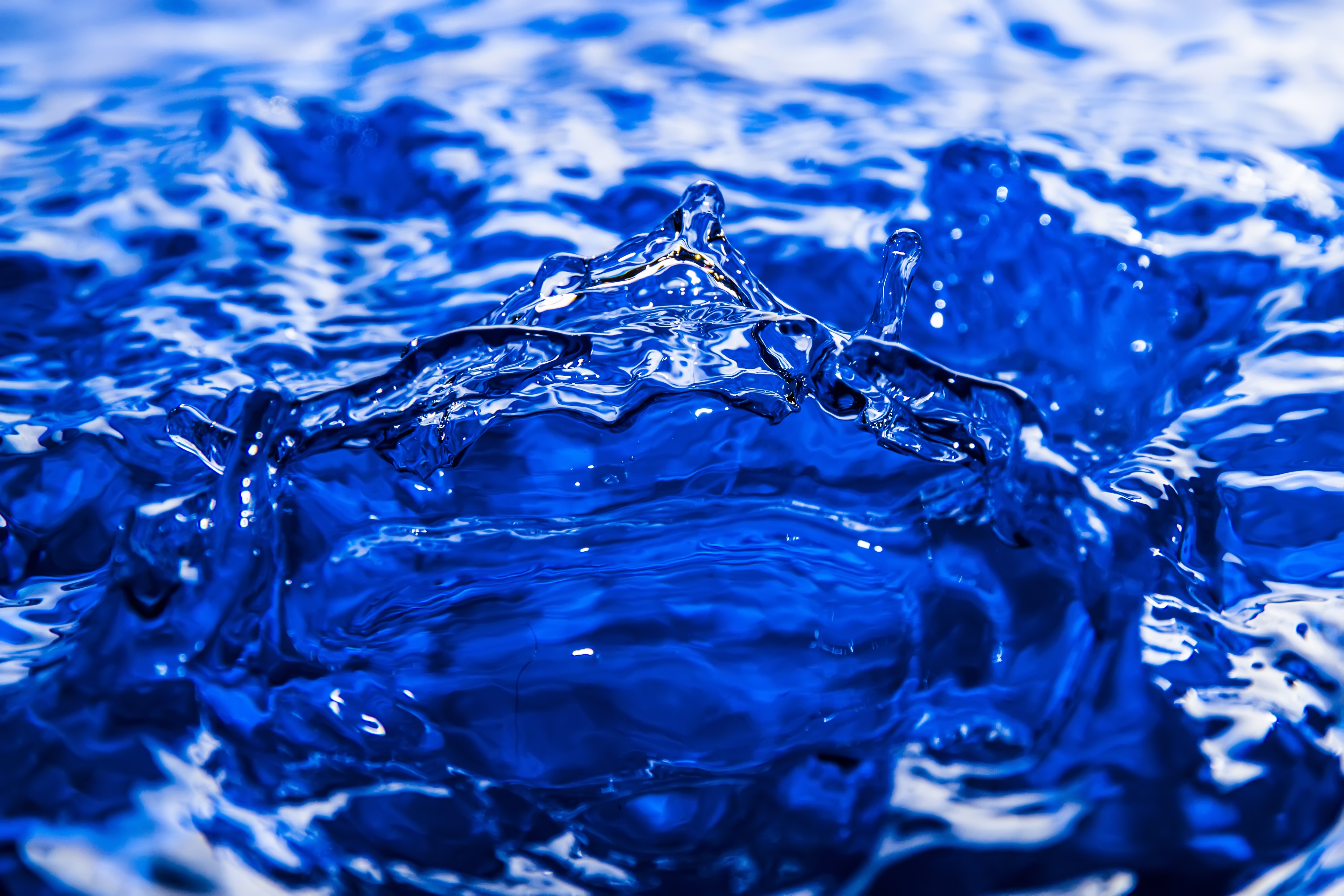 A splash of blue water