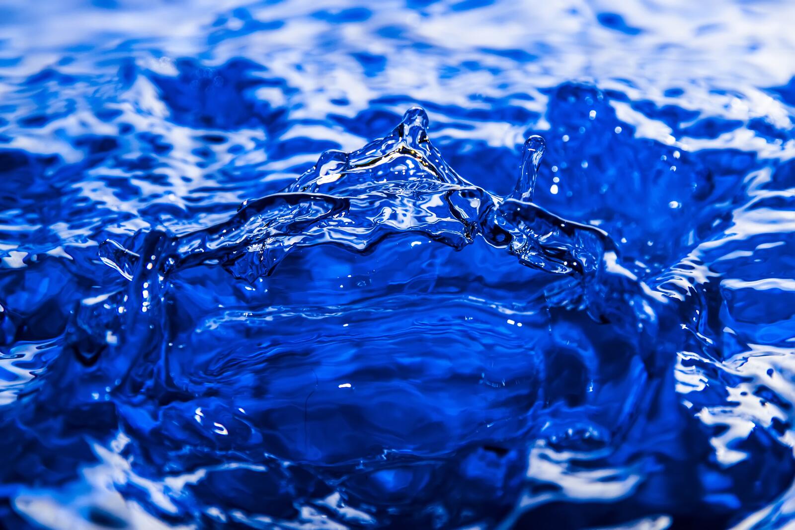 Free photo A splash of blue water