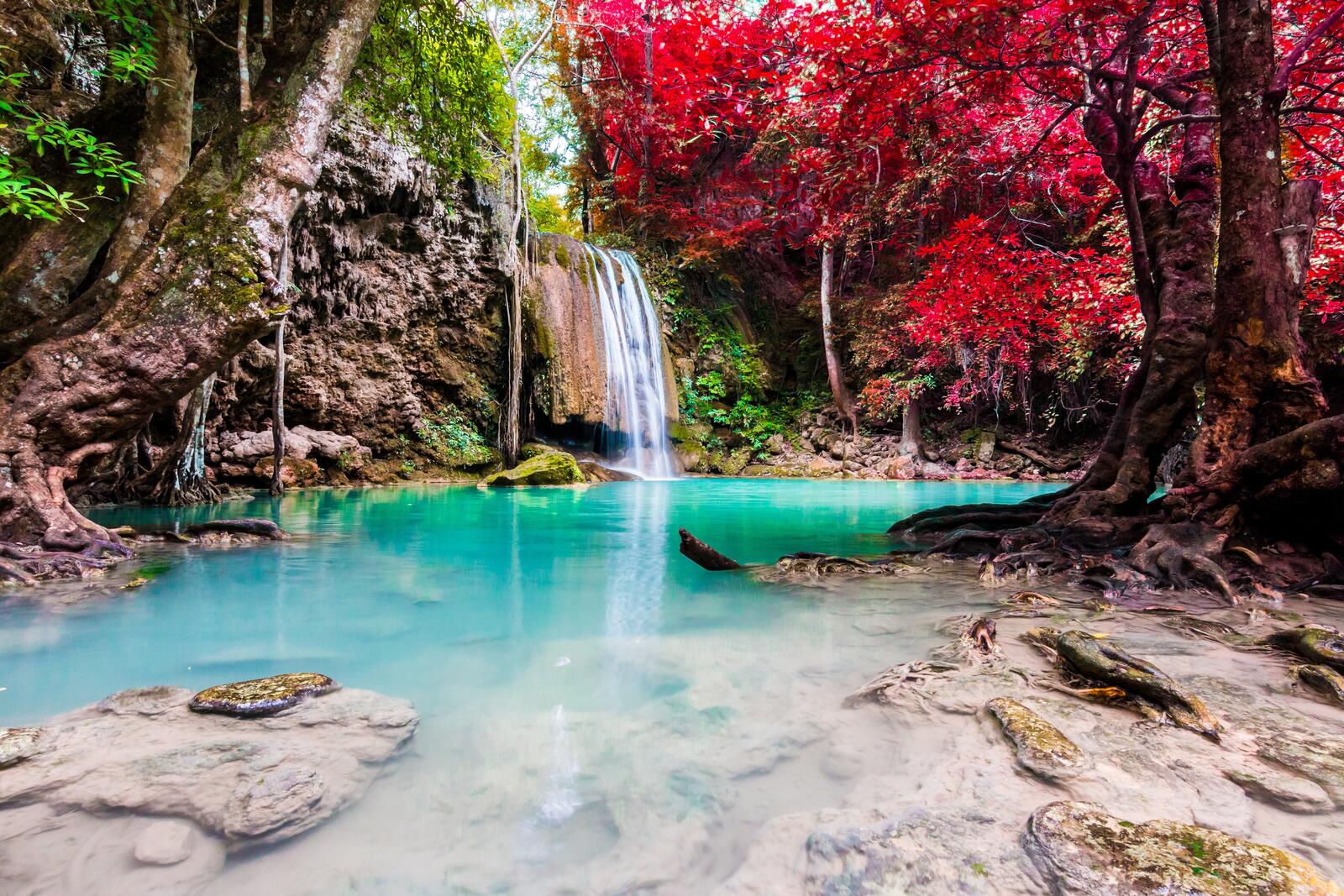 免费照片森林中清澈见底的五彩瀑布