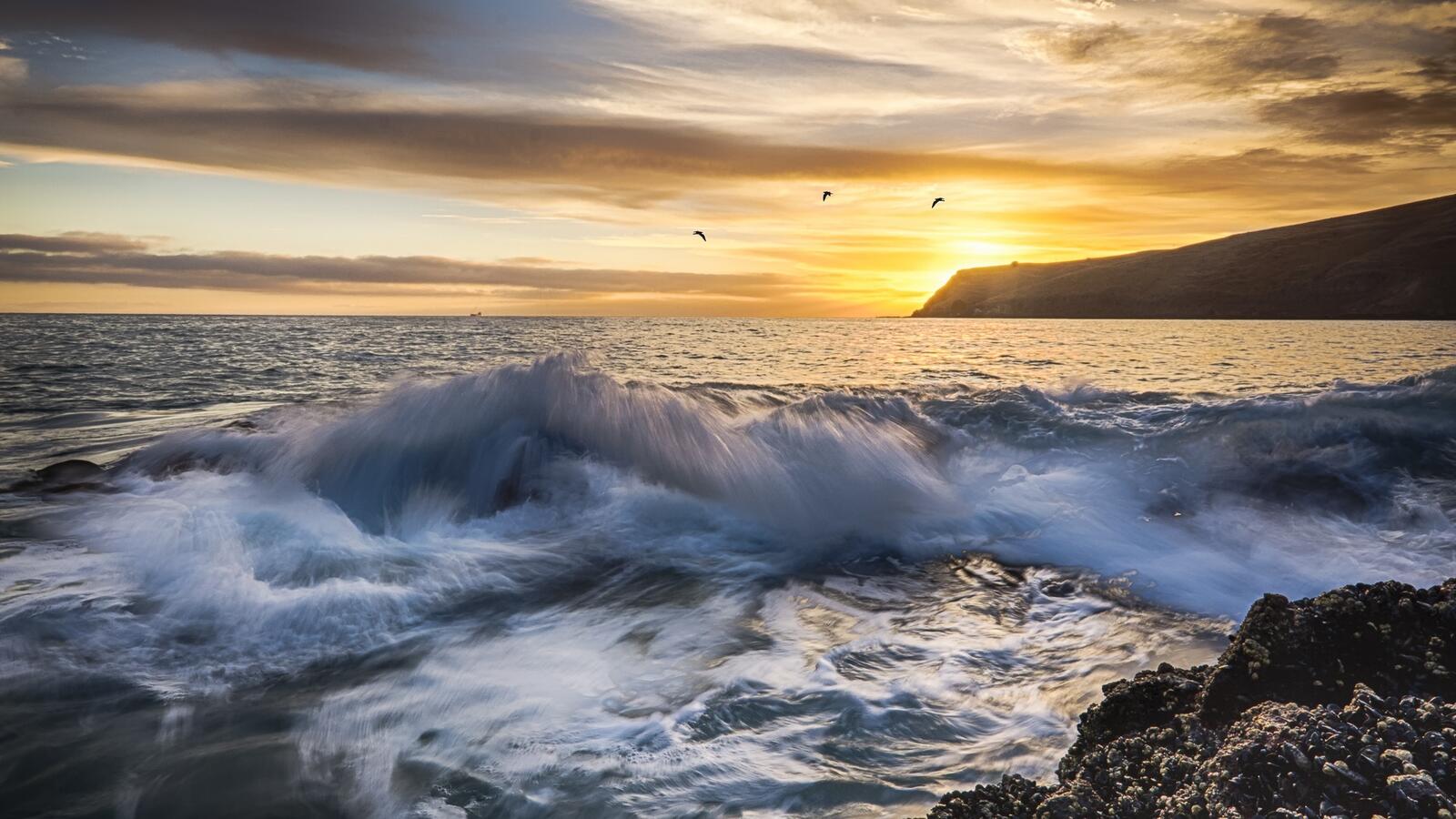Free photo Seashore with waves at sunset