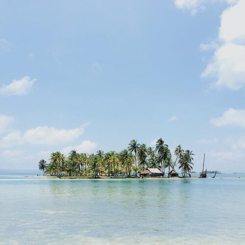An island with palm trees in the ocean