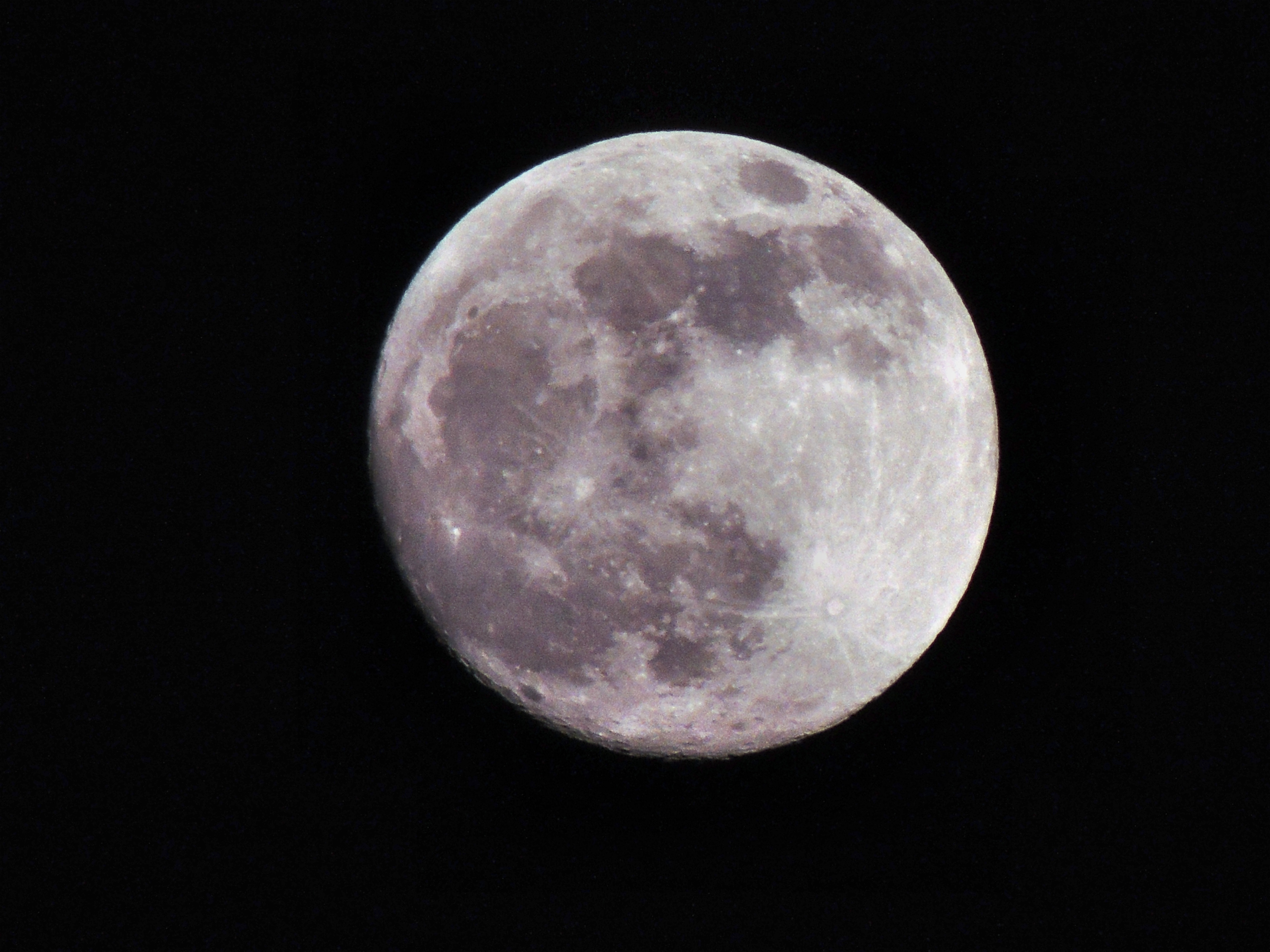 免费照片黑色天空中的大月亮照片