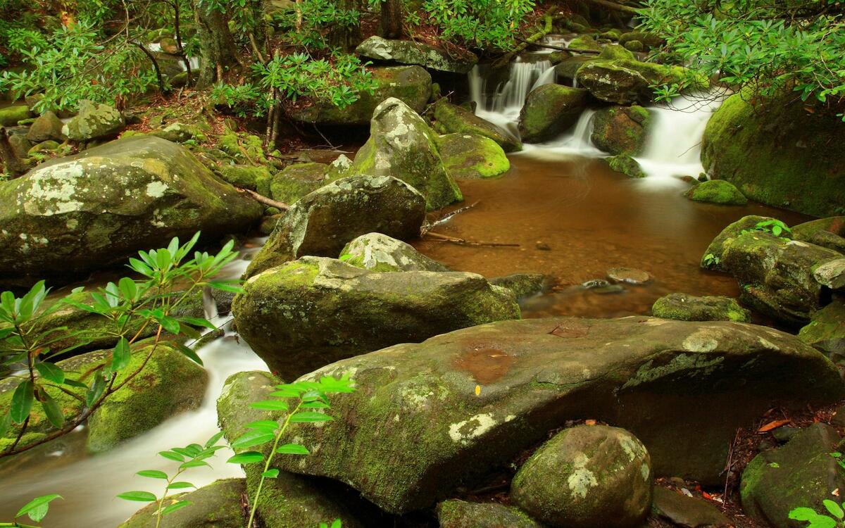 Маленький водопад в лесу рядом с камнями