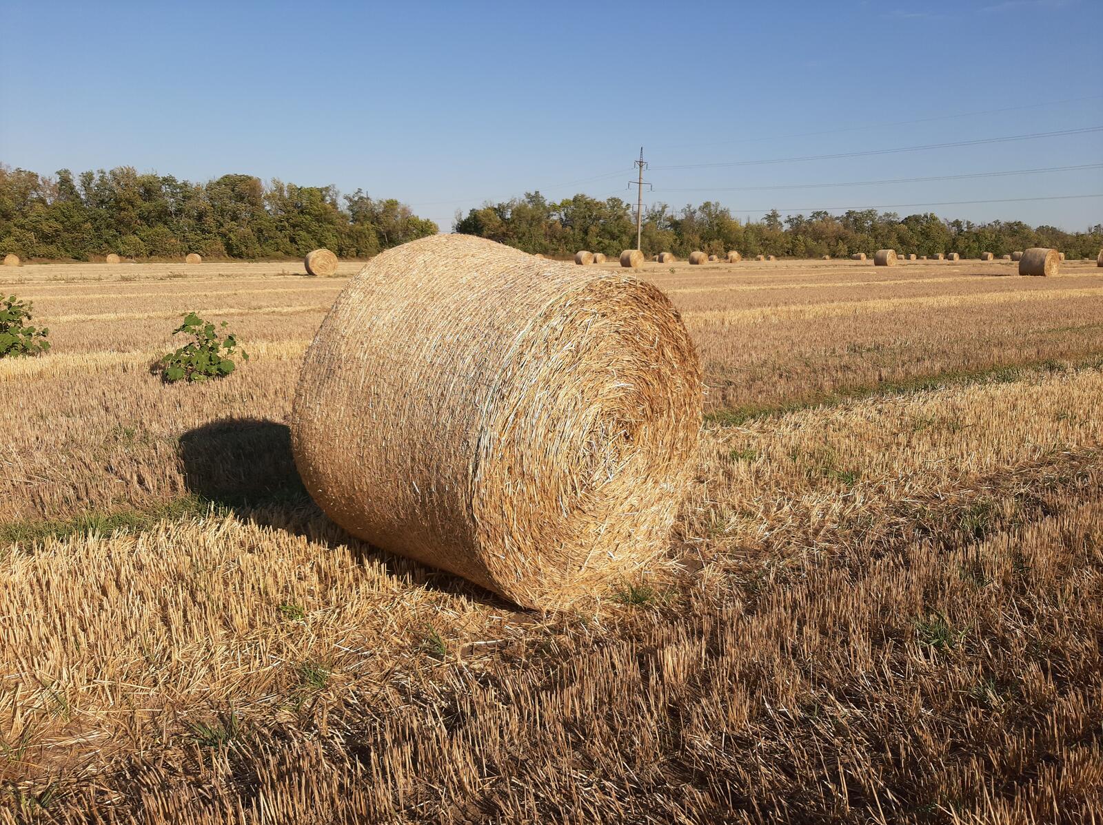 Free photo A field with a haystack