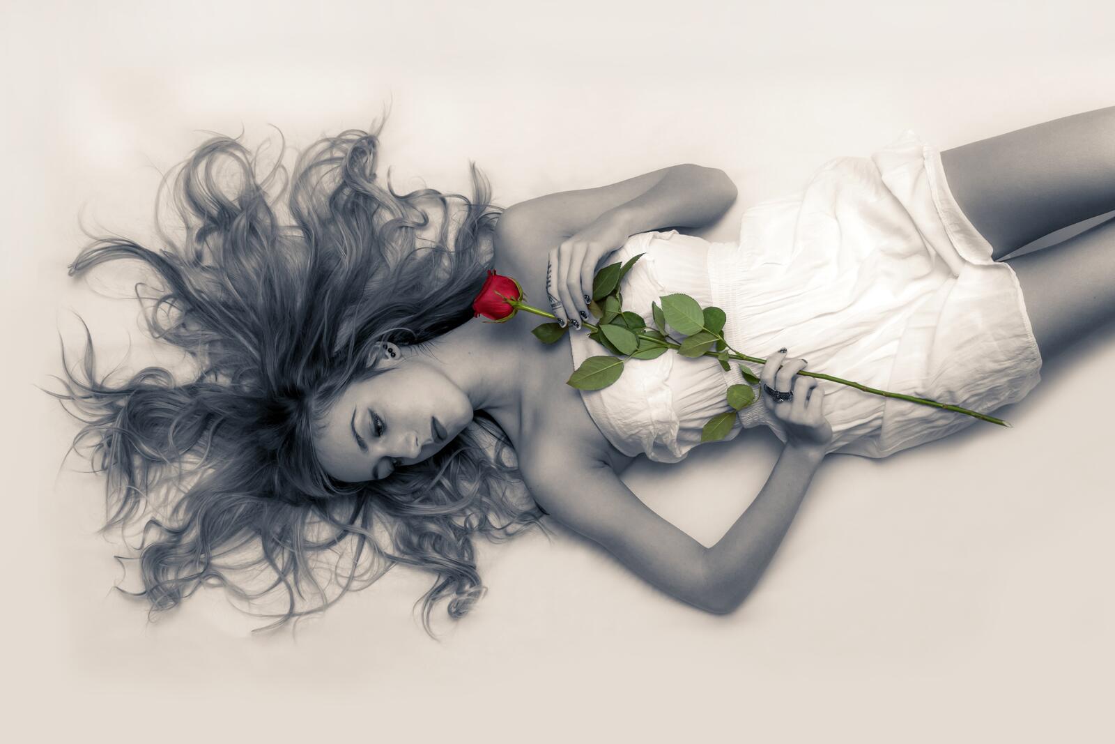 Free photo Monochrome photo of a girl with a red rose in her hands