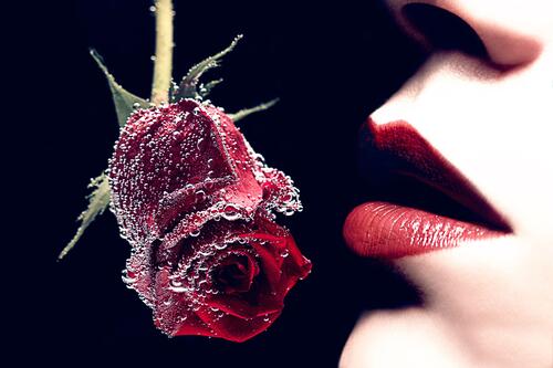 A frozen rose by a woman`s lips.
