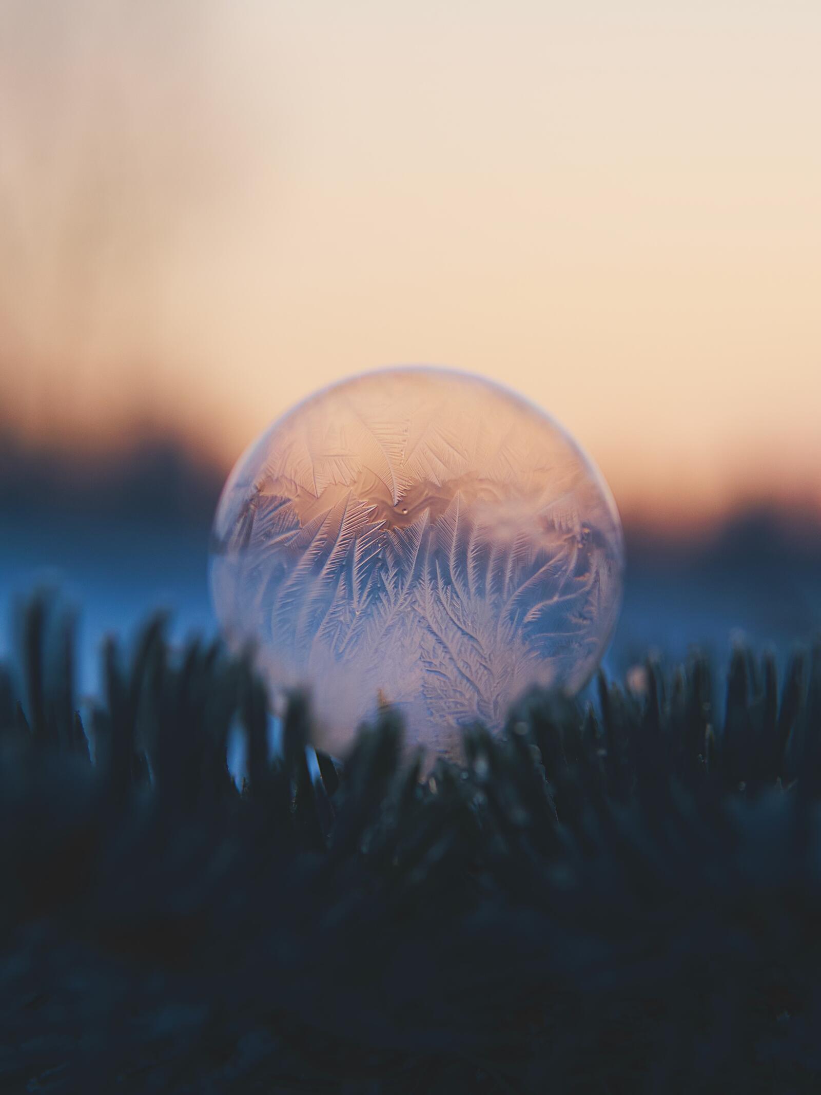 Бесплатное фото Замороженный мыльный пузырь
