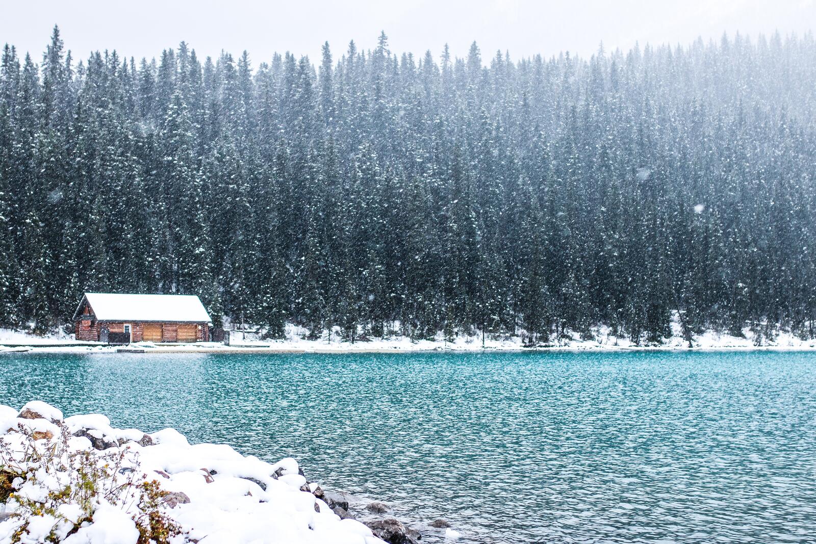 免费照片加拿大松树林边的湖边小屋