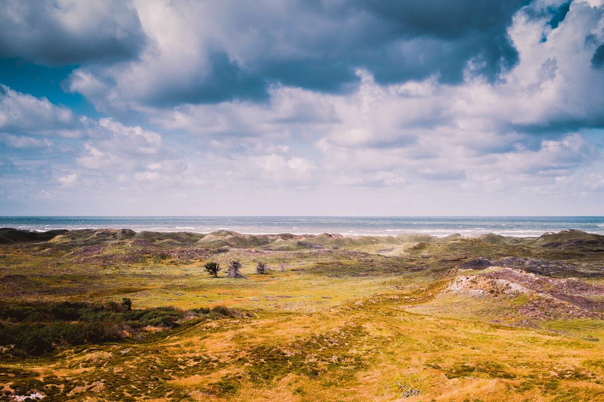 The Great Steppe by the Ocean