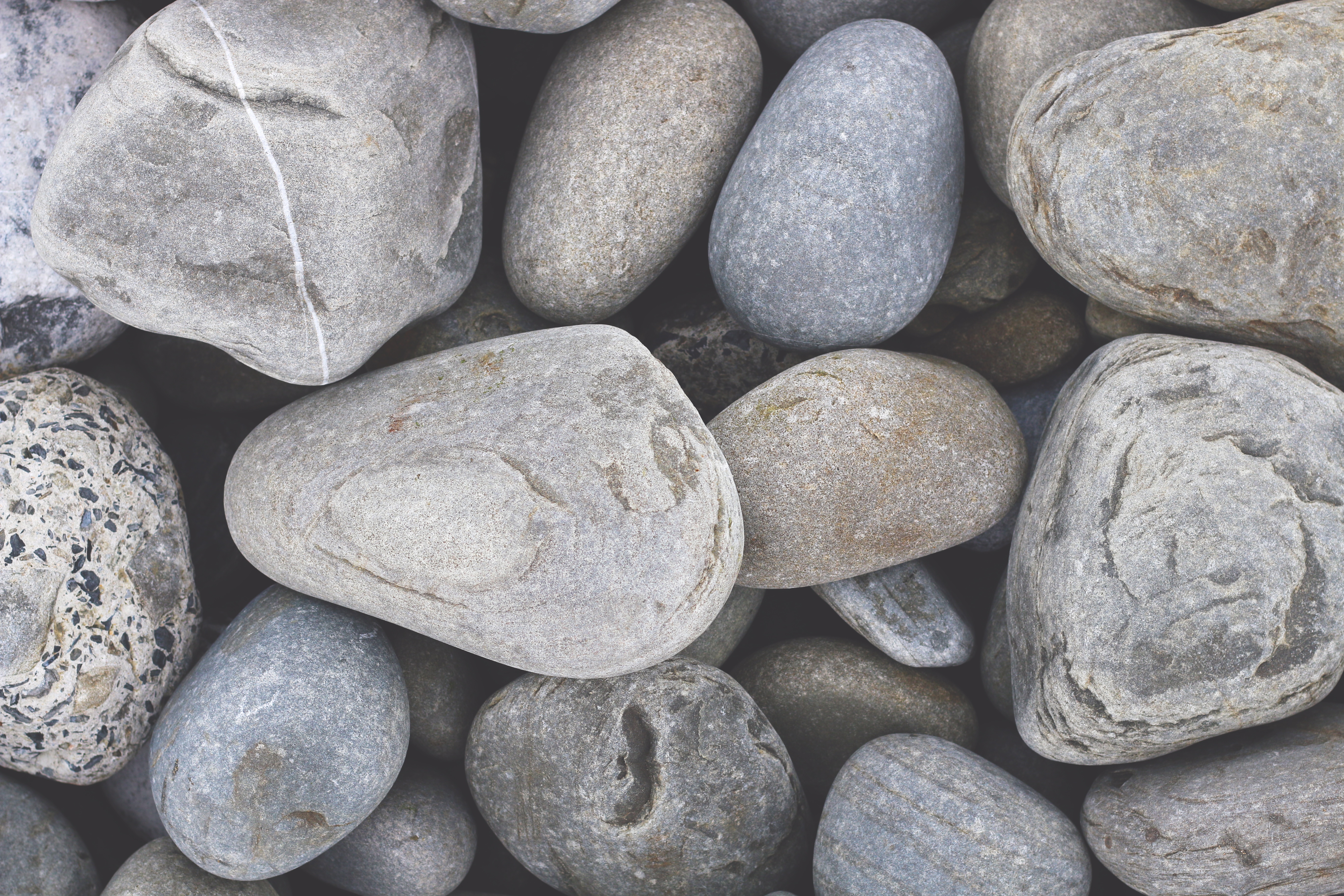 Free photo Stony river bank with rounded pebbles