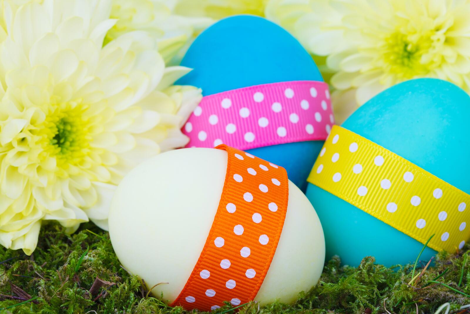 Free photo Eggs for Easter
