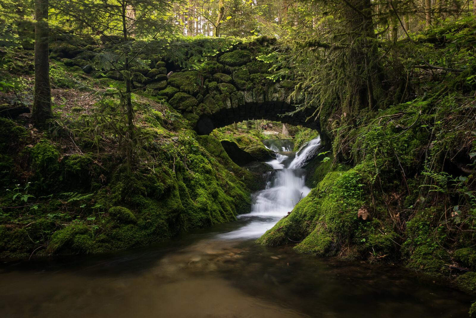 免费照片绿色森林中一座桥下的小瀑布。
