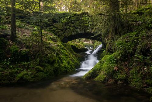 A small waterfall under a bridge in a green forest.