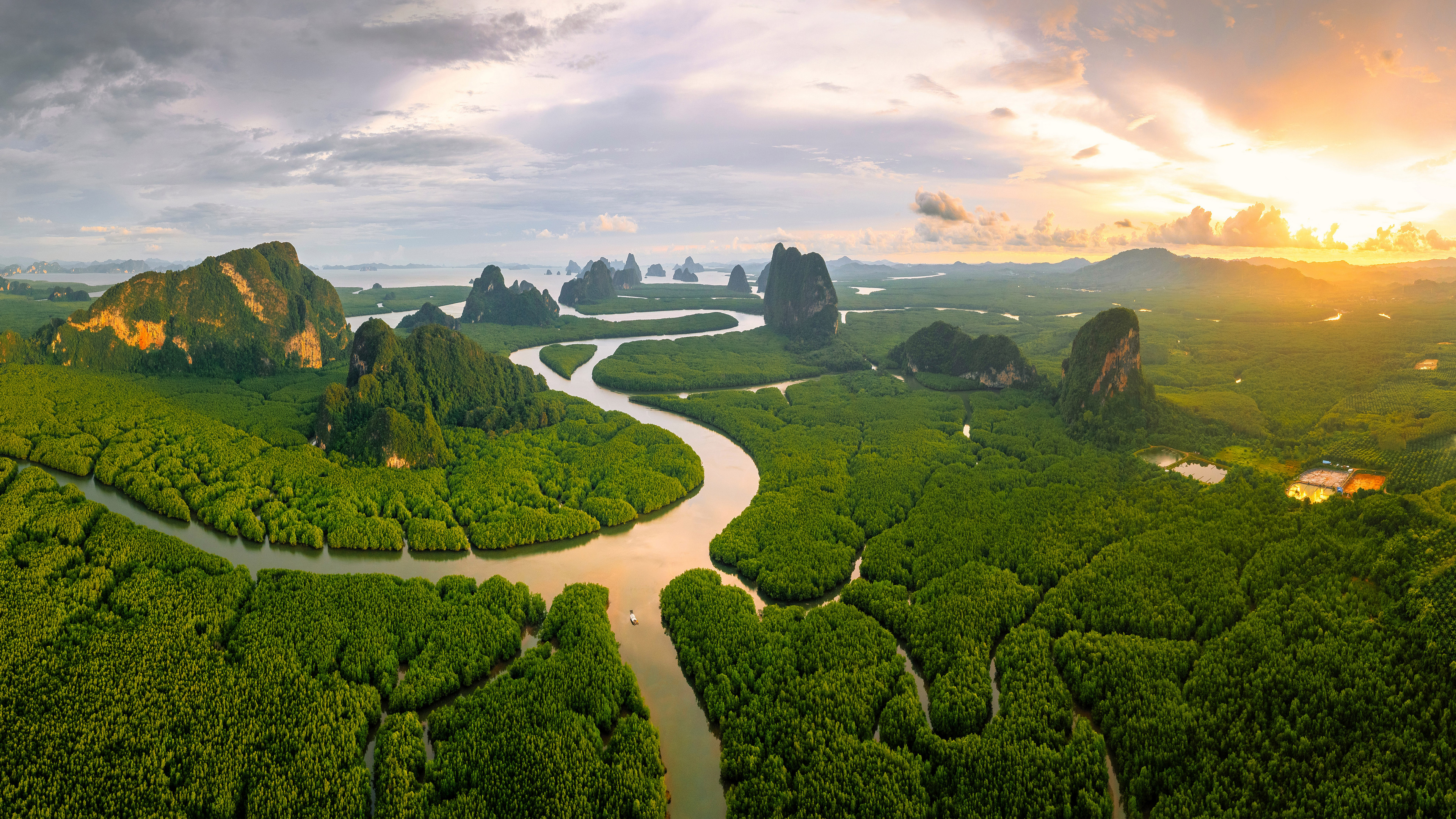 泰国河流上生长的树木