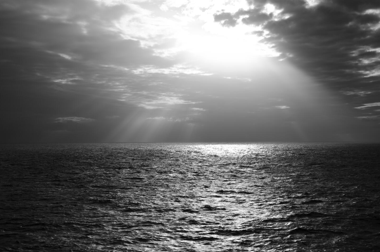 Free photo The sun`s rays hitting the sea surface