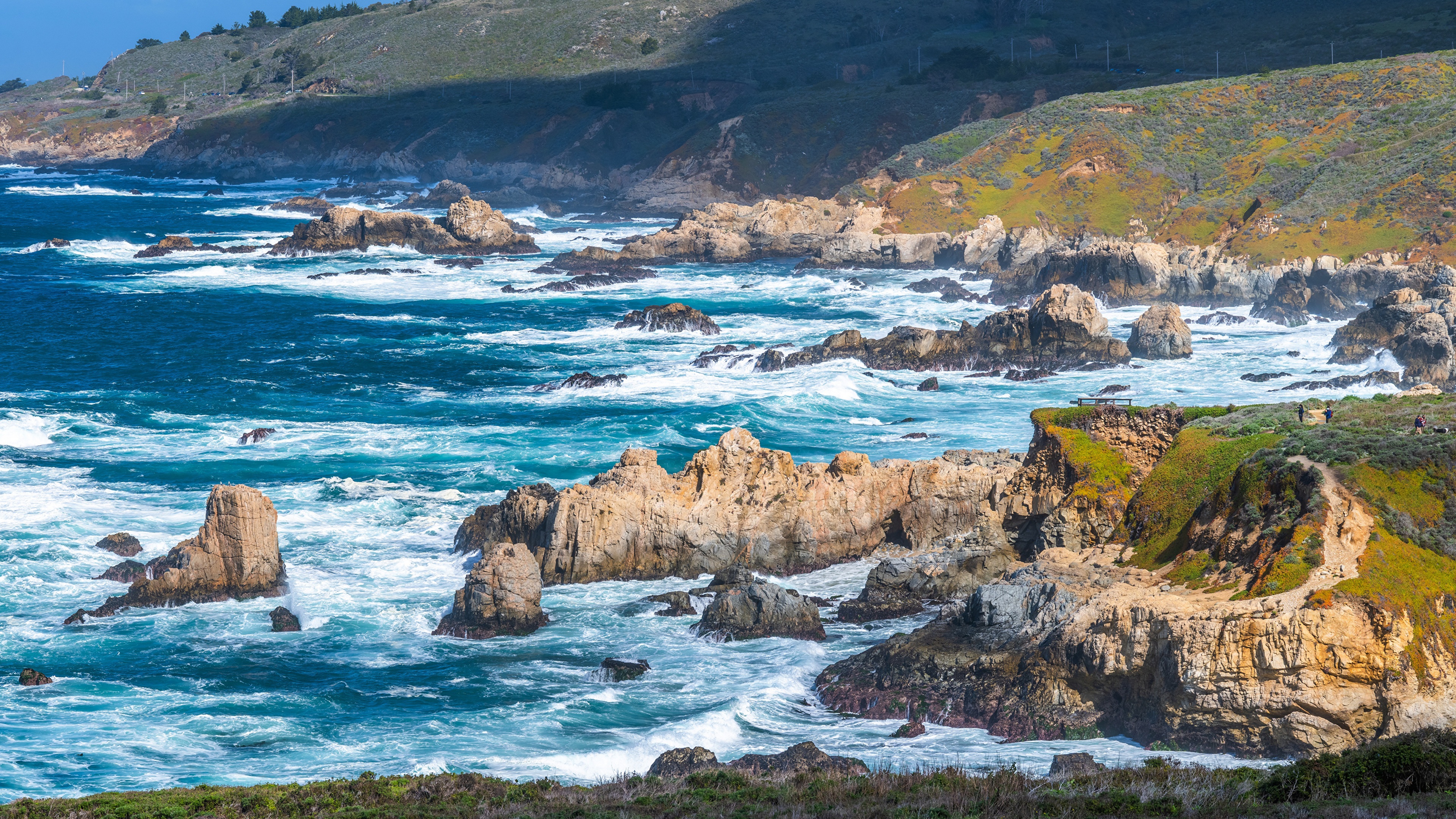 免费照片加州的岩石海岸