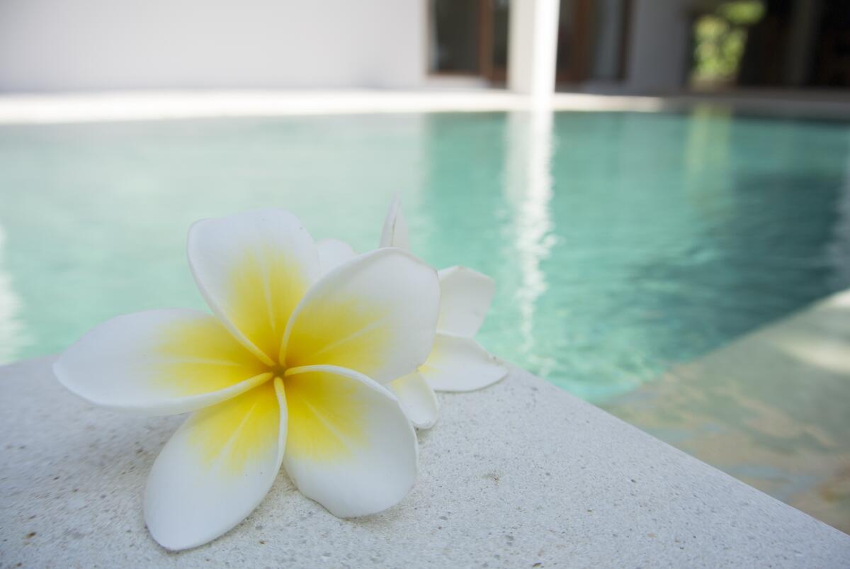 Flowers for the poolside spa
