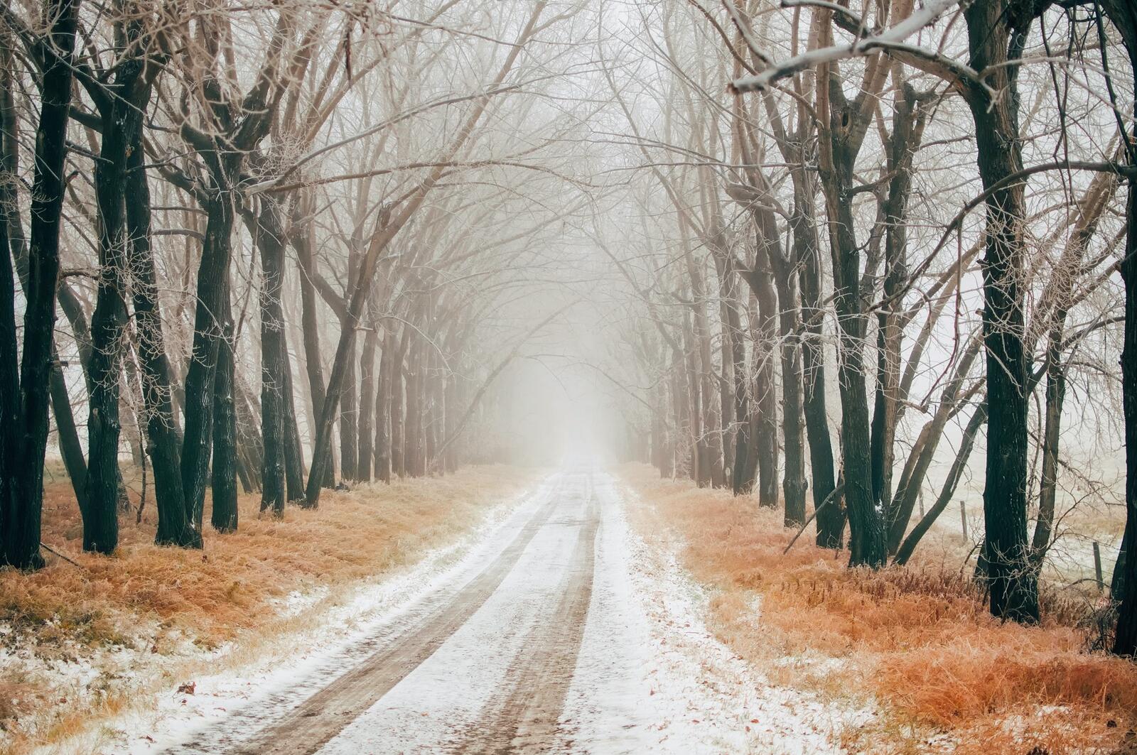 Бесплатное фото Осенняя аллея с первым снегом