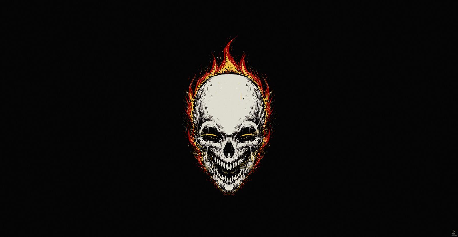 Free photo Skull with fire on black background