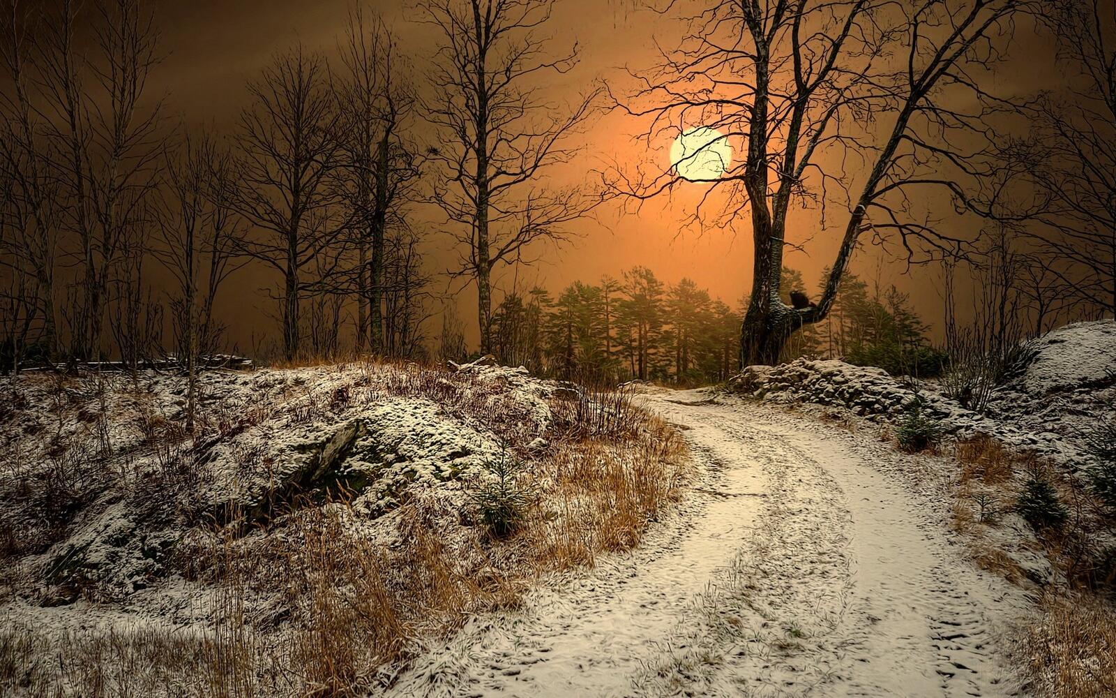 Бесплатное фото Первый снег на грунтовой дороге в Норвегии