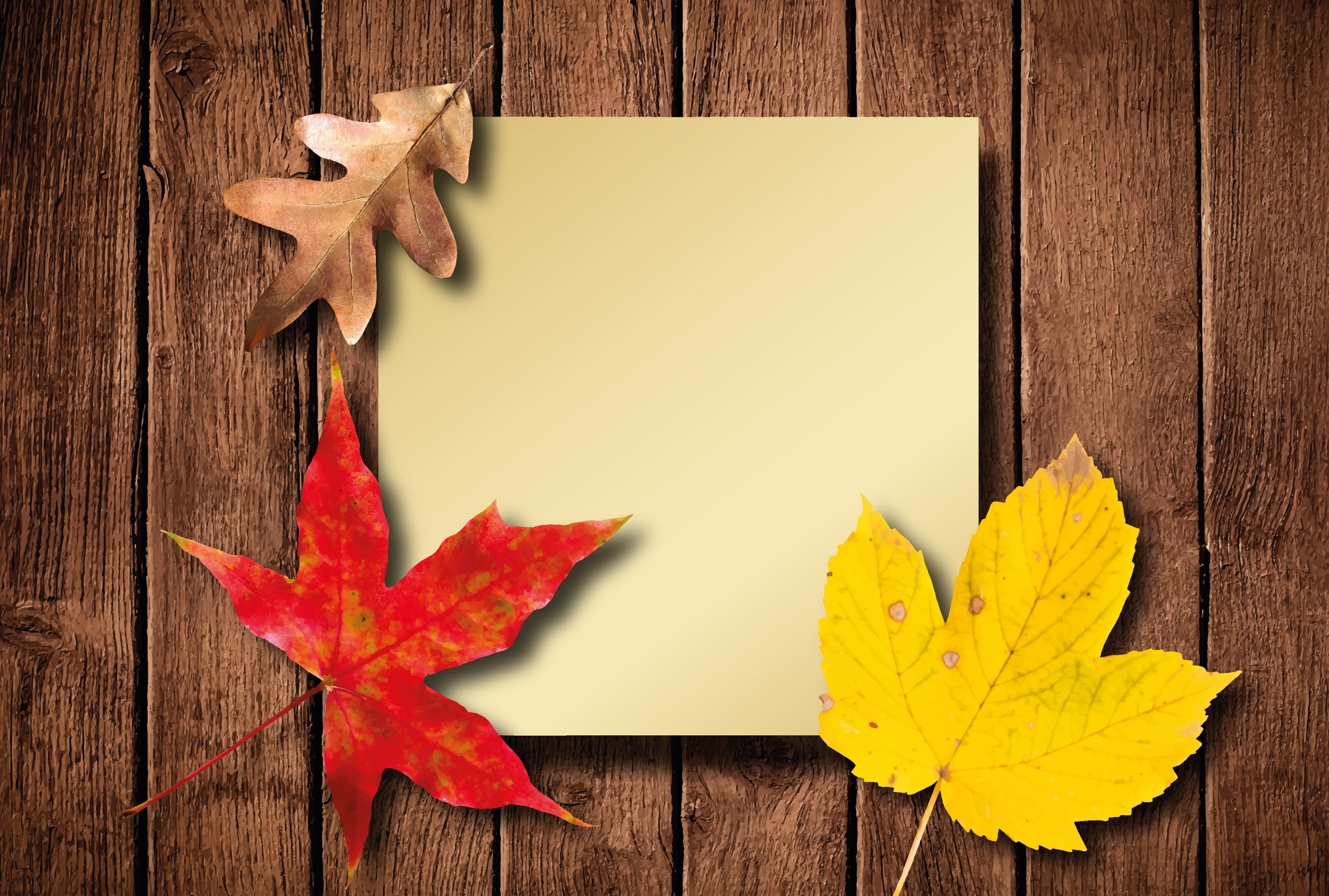 Free photo Autumn leaves lay on wooden boards