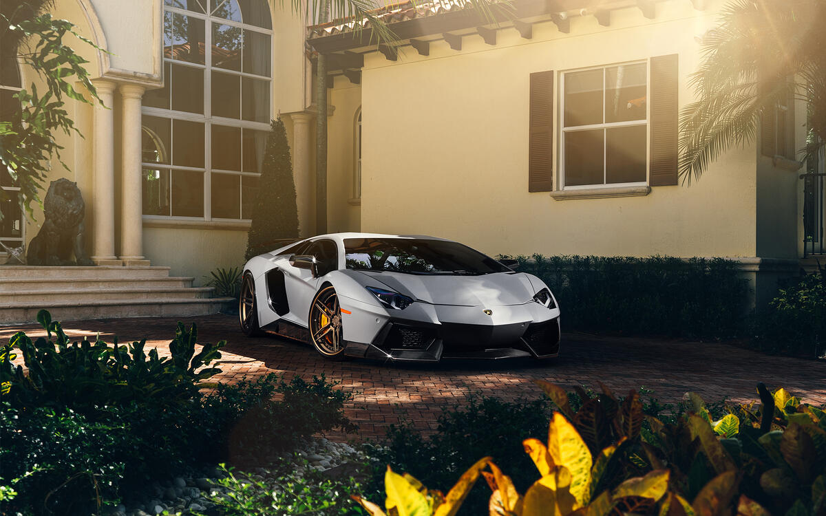 Lamborghini Aventador in the yard.