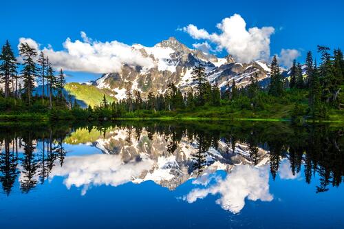 Beautiful summer landscape reflected in the lake