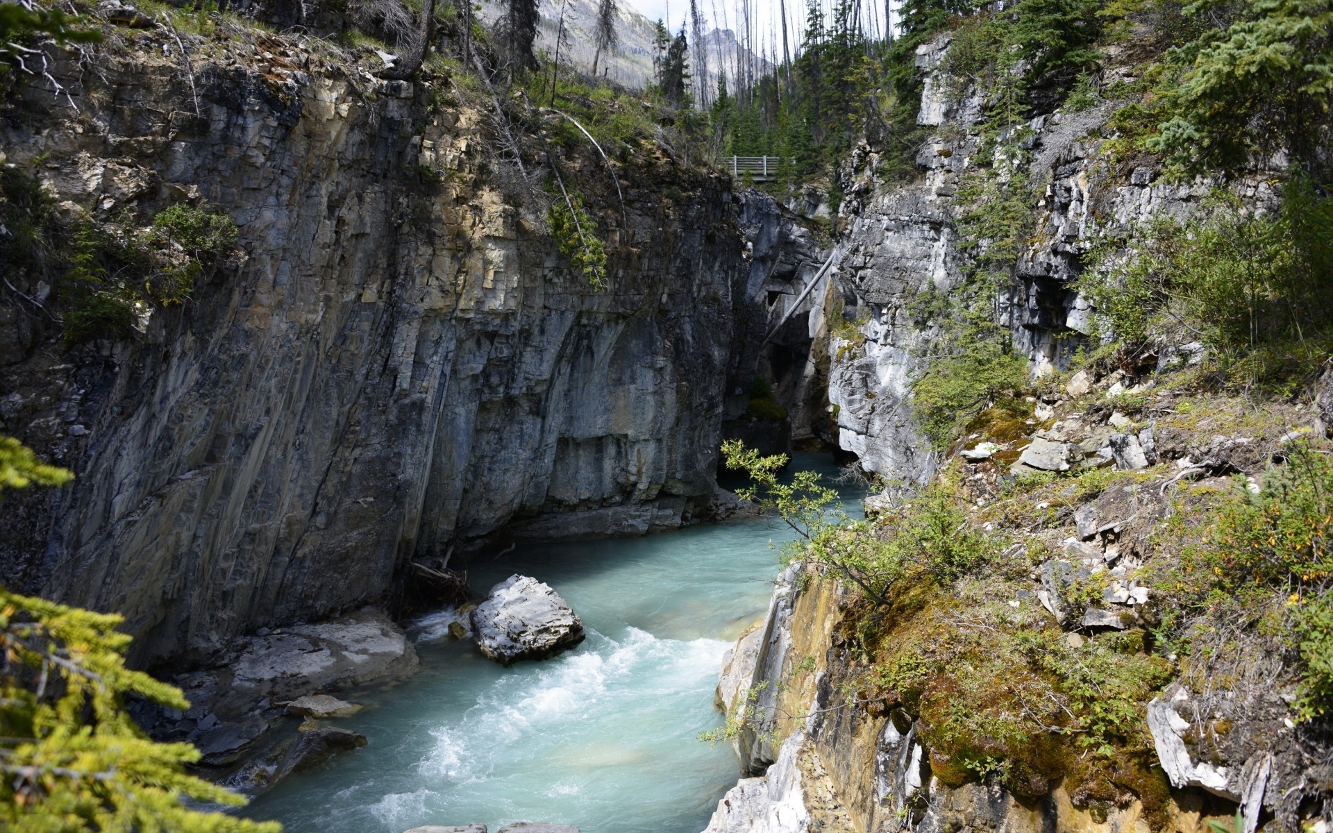免费照片一条河流在大岩石间流淌。