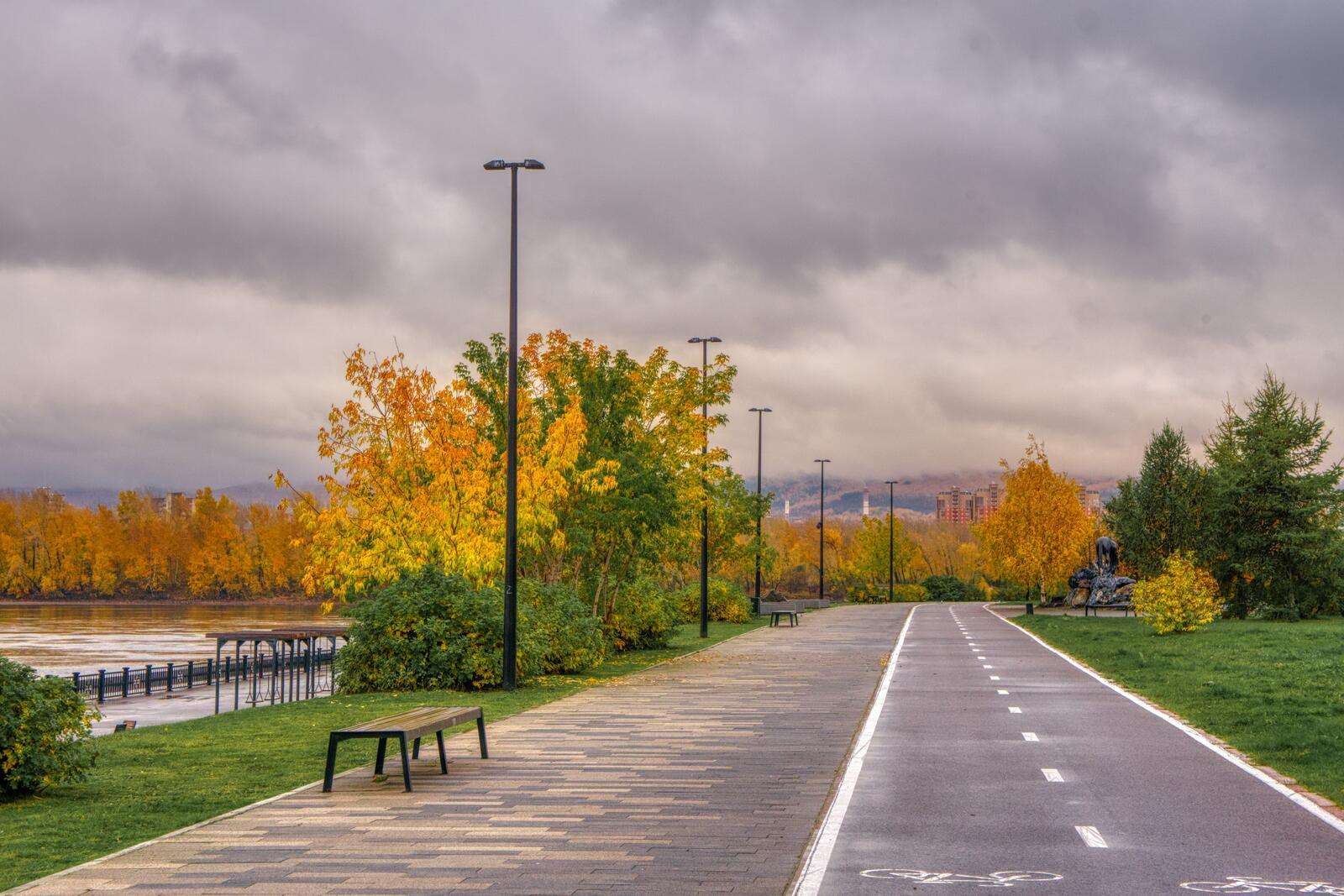 Free photo Autumn park with bicycle path near the river